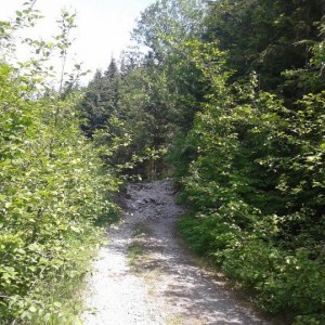 Trail Photos