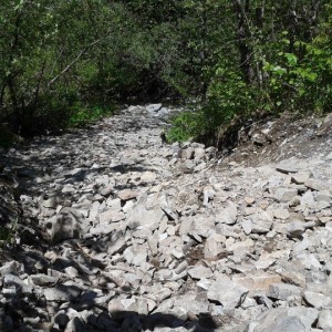 Trail Photos