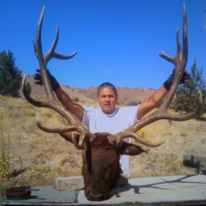REZ BULLS All BowHunts