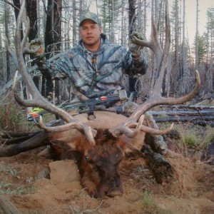 REZ BULLS All BowHunts