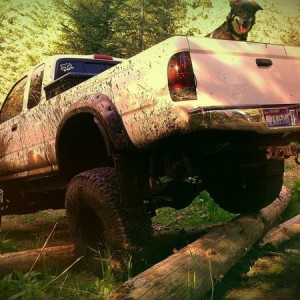 Log Hoppin'