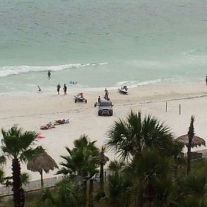 Taco spotted on beach in Panama city!