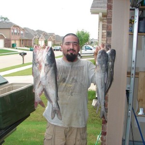 some kittys i caught when lake lewisville flooded in 2006
