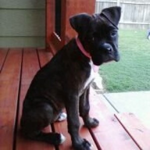 We might be picking this little girl up tomorrow.