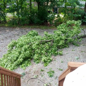 Storm Damage