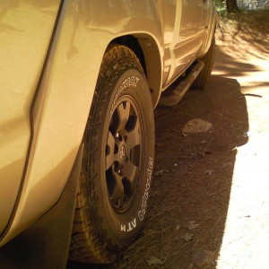 Flex, Sugar Pine Rd