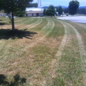 for the mowing thread.