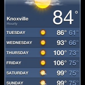 WTF 106? Saw that last year on a day they said as going to be 100. Bet it w