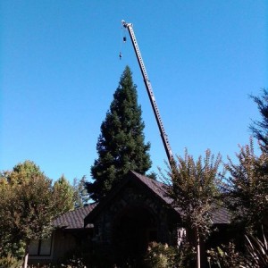 IMG00027-20120626-0916