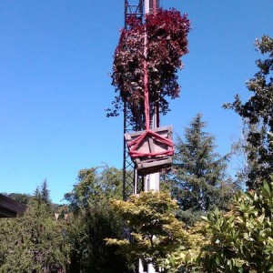 IMG00029-20120626-1034