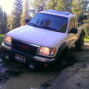 35 Almost Under Mud!