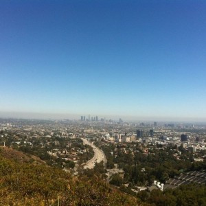 A view