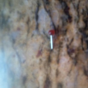 I freakin bite my lip stud and it busted while i was eating!!! i found this