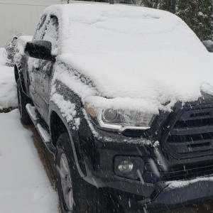 Snowy