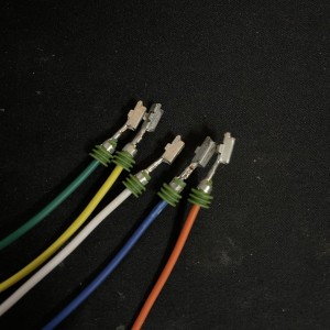 7902525E-C9FD-4C72-BE4B-15EB42D4BC77