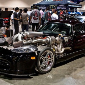 viper