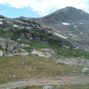 Wheeler lake