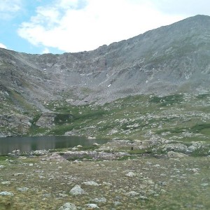 Wheeler lake