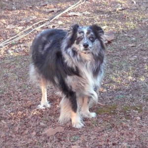 Cody8