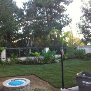 Finally laid grass in my yard after 3 years