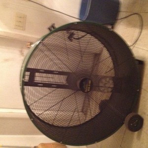 Took The shop fan Into the bathroom cause we have no ac haha