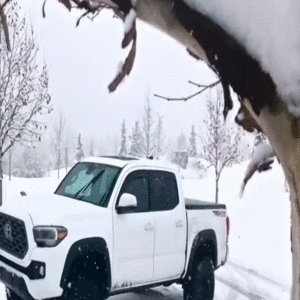 2021TacoSnow