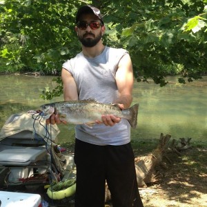 My 19" rainbow (he's been dead for a couple hours...lost a lot of