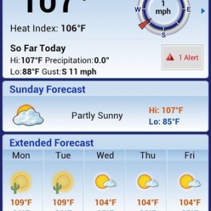 Not even the hottest part of the day yet