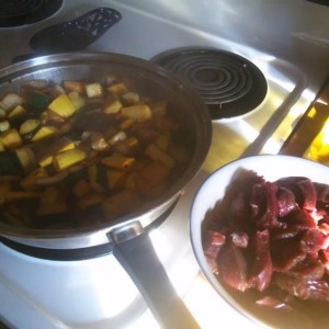 stir fry in progress. deer tenderloin tips and fresh veggies :hungry: