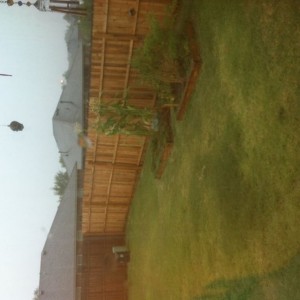 Looks like i'm re-enforcing my fence this weekend...storm and gust of 