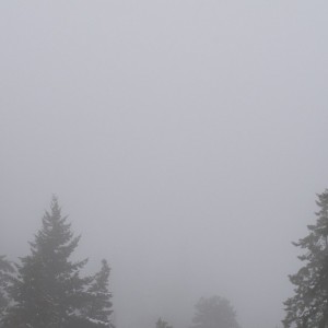 DSC_3888_v1-1280x849