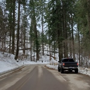 Sequoia national park