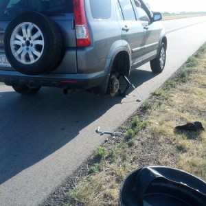 Stupid hondas