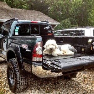 The Pup hanging out