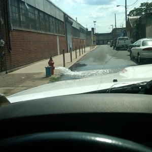 Every god dam day with these scum bags. Should just put 24th precinct on sp