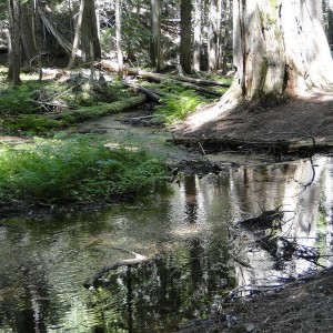 DSC024921
