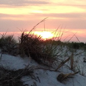 IMG_010415