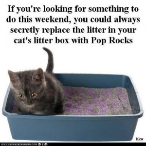 poprocks