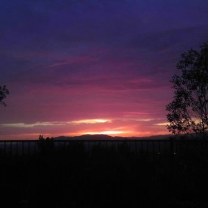 IMAG03297