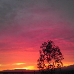 IMAG03303