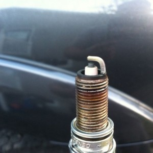 Plugs don't look too bad.