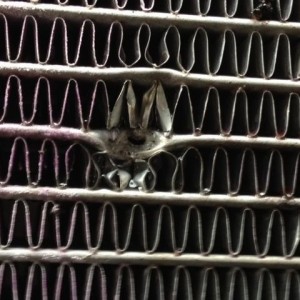Day before i trade in, this hole pops up and is squirtin pink coolant every