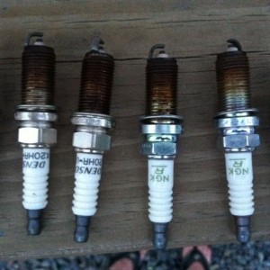 NGK on the left and Denso on the right I still don't get it.