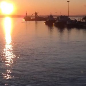IMAG03103