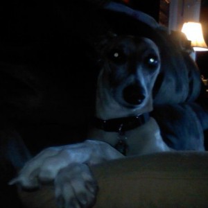 Well Hellooo there!