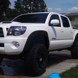 blackfenders