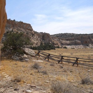 DSCN08671