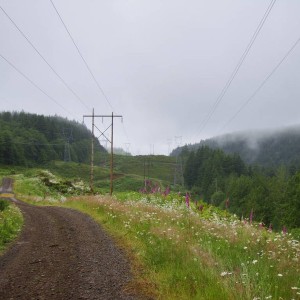 DSC06238