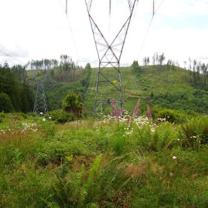 DSC06253