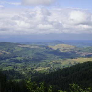 DSC062751